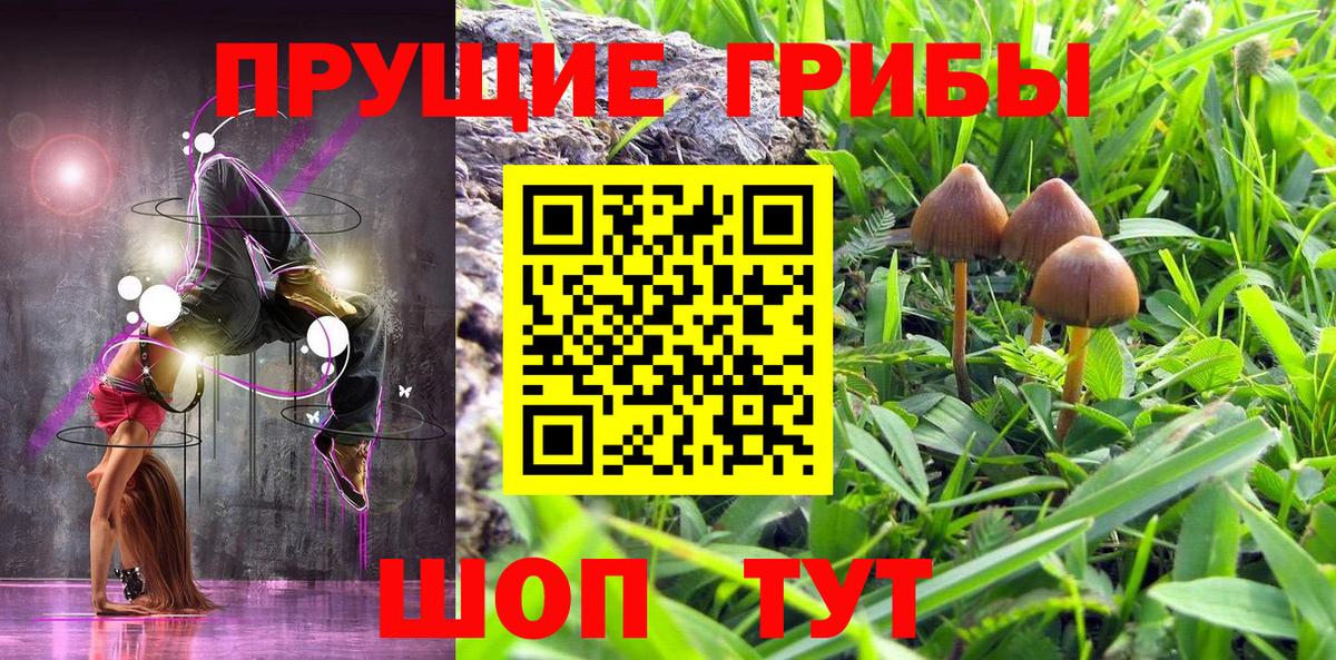 Галлюциногенные грибы GOLDEN TEACHER  Вход с VPN  Пятигорск 